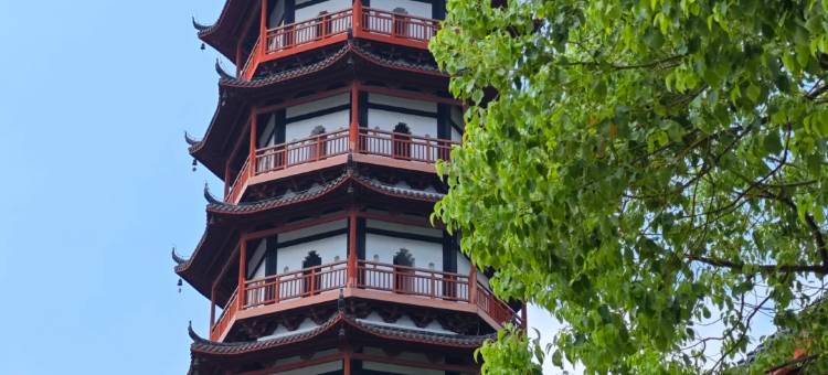 怡莱酒店(莫家街大新街夜市店)图片