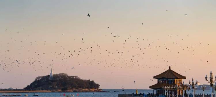 沃德・悠游里院酒店(青岛栈桥中山路地铁站店)图片