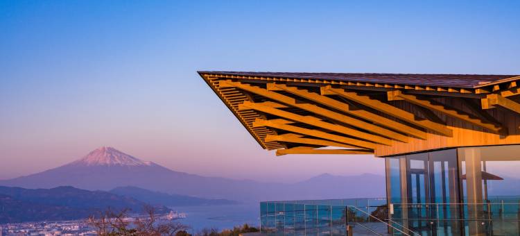 烧津龟之井酒店(Kamenoi Hotel Yaizu)图片