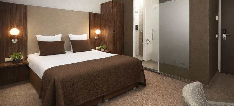 拉雷因酒店(Hotel la Reine)图片