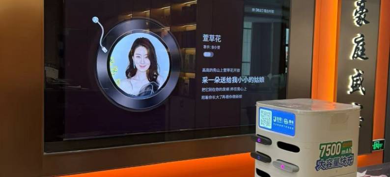 公安豪廷晟世酒店图片