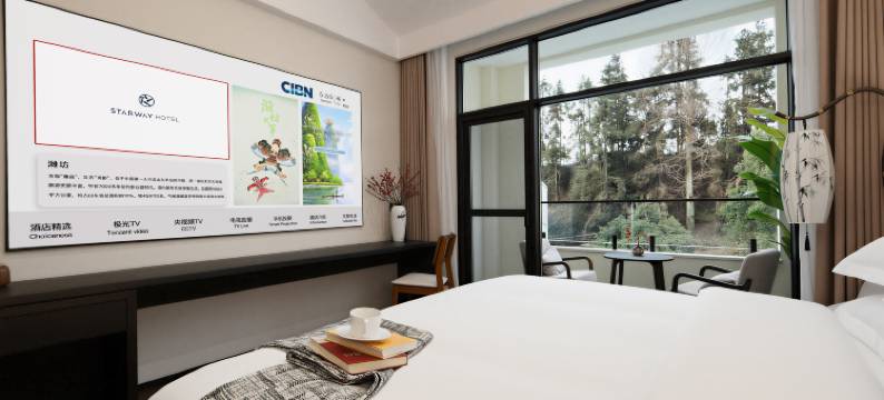 仰望星空starry.sky设计师酒店(武当山景区售票处店)图片