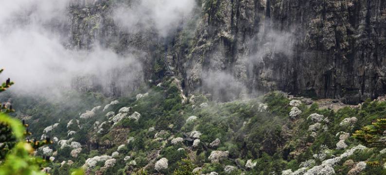 禄劝轿子山大酒店图片