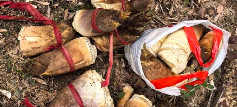 秋兮·aki星空温泉民宿(安吉云上草原店)图片