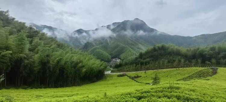 挽风·云岚仙雾Elysium|溯溪观景泳池美宿(天目山漂流店)图片