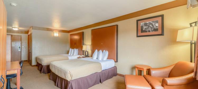 OYO比维尔US-181德州旅馆(Texan Inn by OYO Beeville US-181)图片