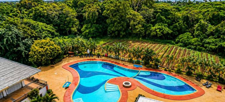Forest Crest Nature Hotel and Resort图片