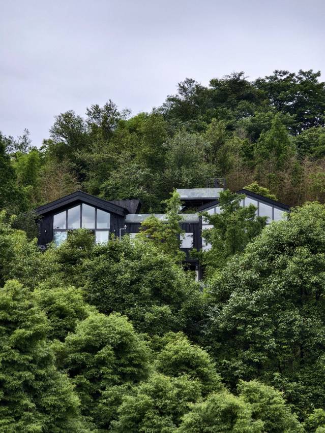 青城山素喜青山森林民宿图片