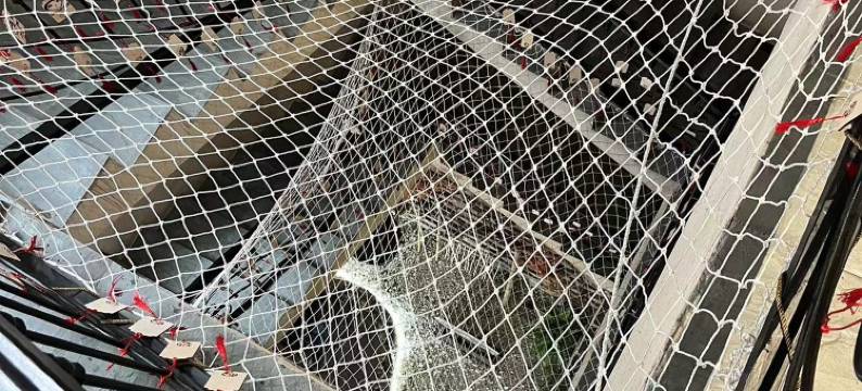 霍山故乡里客栈图片