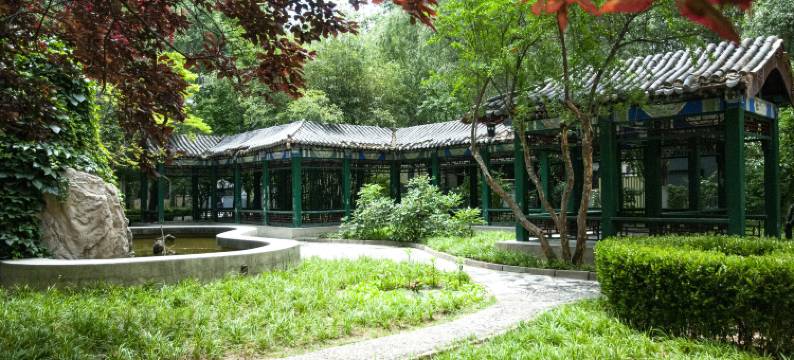 北京重庆饭店(国展中心西坝河地铁站店)图片