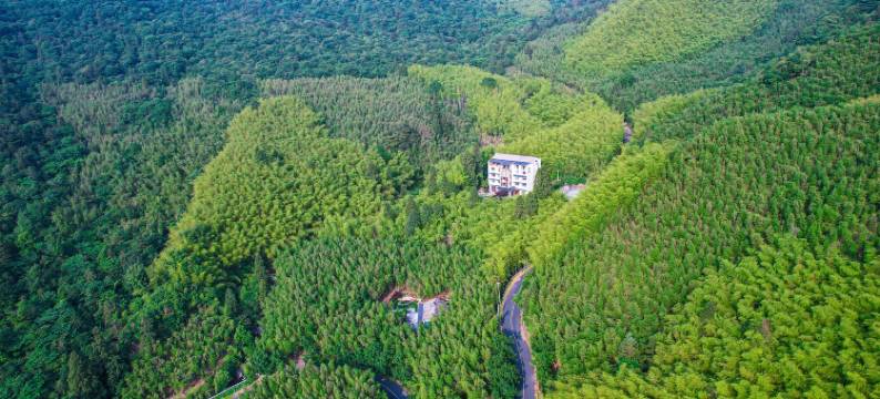 天目山澄境民宿图片
