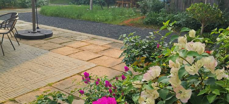 吉州窑柿子树下民宿图片