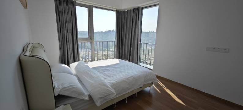 汕头海居乐酒店(绿地中心店)图片