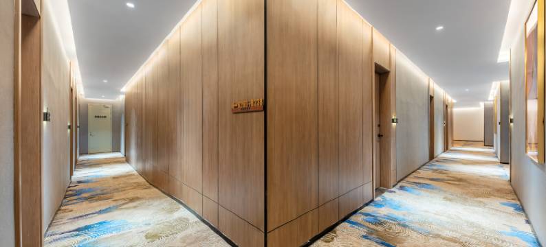 铂纳斯酒店(深圳盐田地铁站店)图片