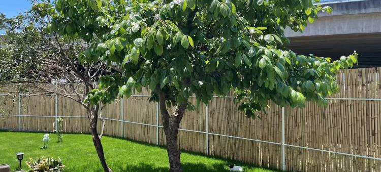 花筑·崇明玥庭·时光里民宿(奚家港店)图片