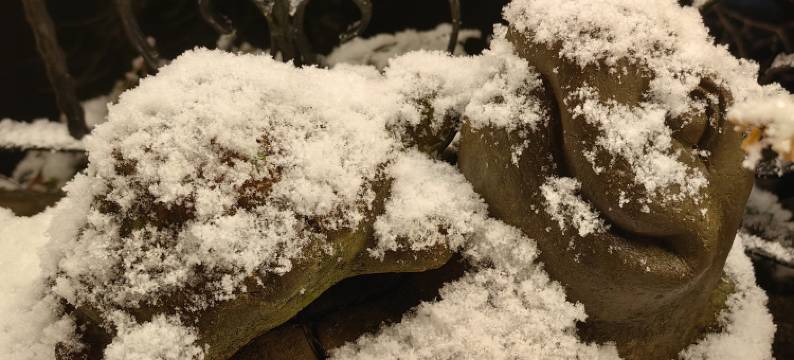 朵一·法式小墅(西湖景区店)图片