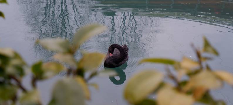 彭州断桥渔歌民宿图片