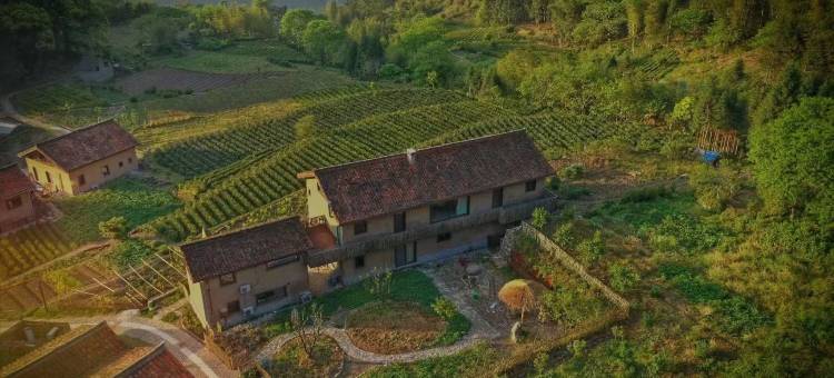 丽水遂昌乐领旗山侠隐庄园图片