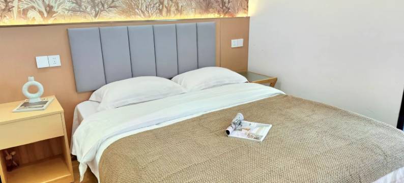 佳旭设计师民宿(南京新街口地铁站店)图片