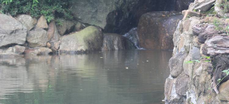 格伦罗克酒店(The Glenrock Wellness Nature Resort)图片