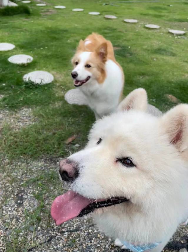 雁荡沐心民宿(灵峰景区店)图片