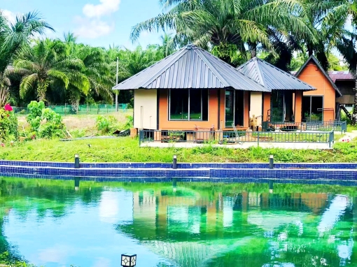 Nature Resort Hotel Overview