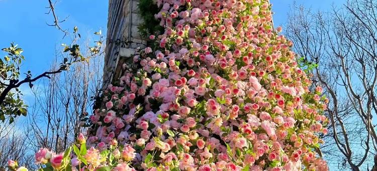 金边民宿(西苑地铁站店)图片