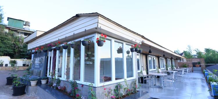 Hotel King Garden图片