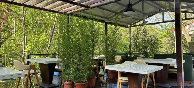 小院时光民宿图片