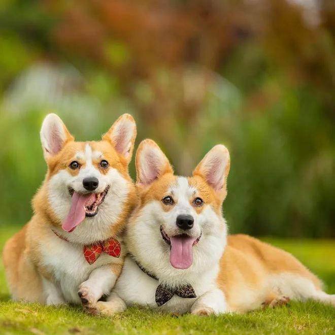 岚悦酒店(太原吾悦广场店)图片