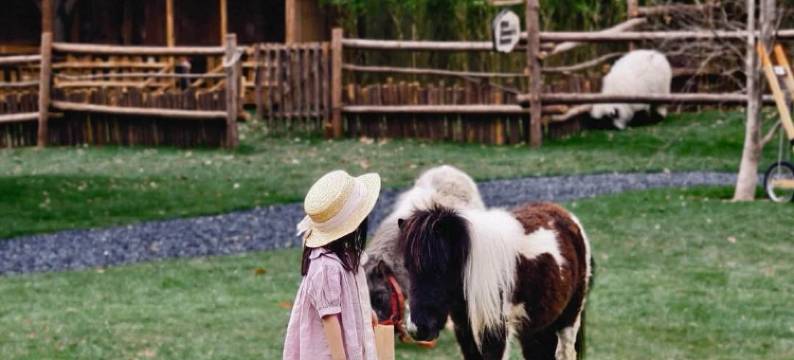 树下小白屋·小羊肖恩主题民宿(安吉白茶观景平台店)图片