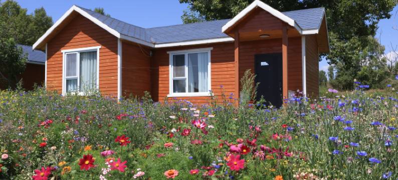 昭苏马场驿站图片