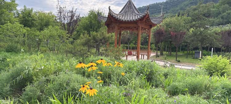 延安城投木蘭酒店图片