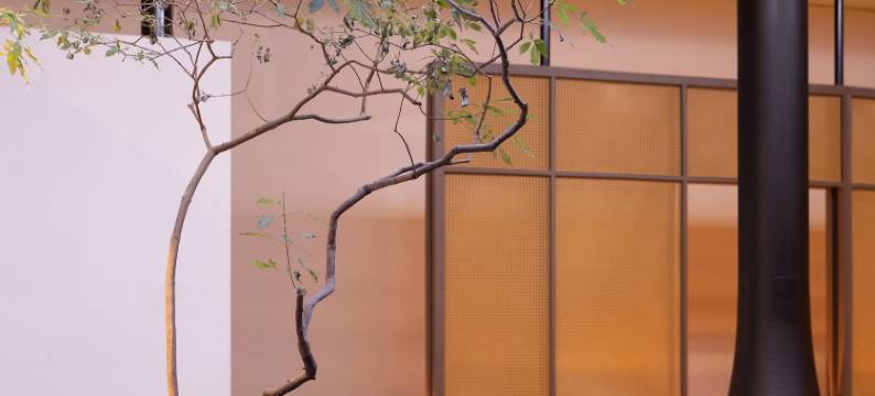 洛阳舍南舍北酒店(应天门景区地铁站洛邑古城店)图片