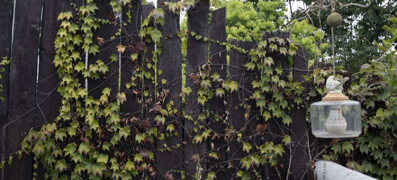 南京勐拉温泉汤屋民宿图片