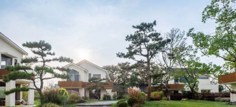 林上溪花园民宿图片