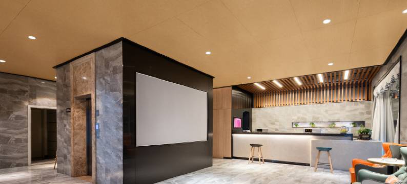 安陆东方瑞吉尊选酒店(东大时代广场店)图片