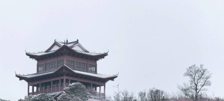 南京遇园进士第民宿图片