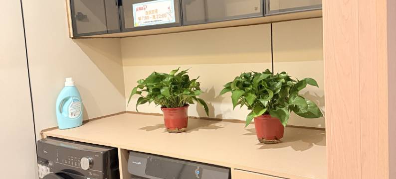 尚客优连锁酒店(原阳光洋店)图片