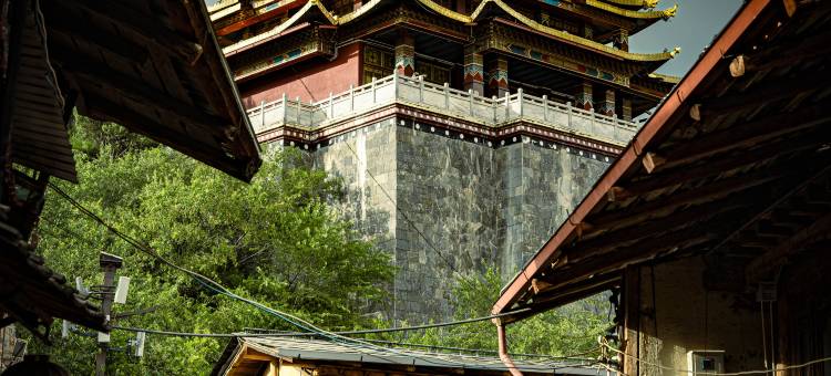 九凤·花园供氧民宿(香格里拉独克宗古城店)图片