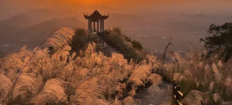 宜朵酒店(玉林兴业县高铁站店)图片