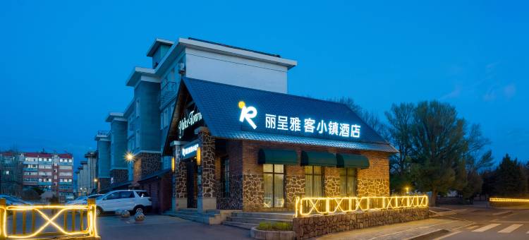 丽呈雅客小镇酒店(青年路中车轨道店)图片