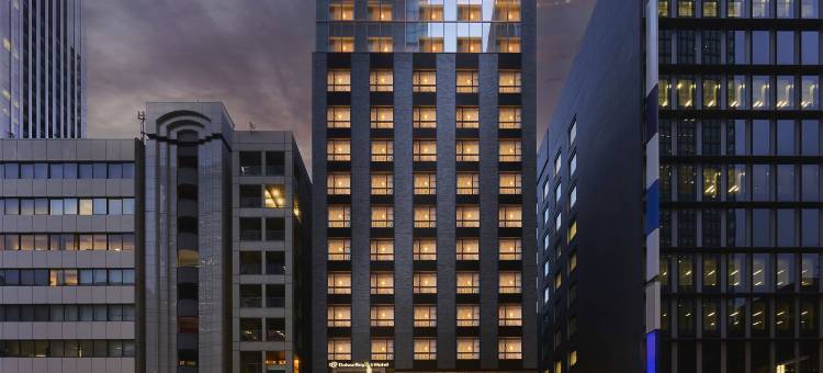 东京京桥大和鲁内精选酒店(Daiwa Roynet Hotel Tokyo Kyobashi Premier)图片
