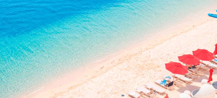 哥斯达贝拉海滩酒店(Costabella Tropical Beach Hotel)图片
