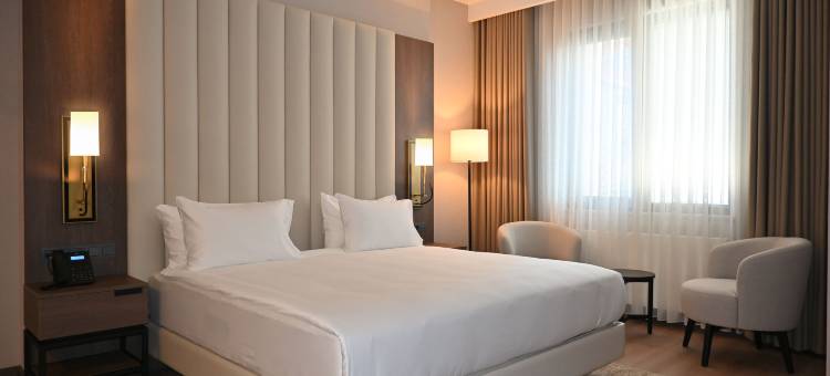 Ramada by Wyndham Duzce图片