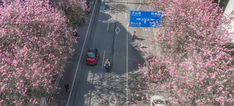 柳州美拓·臻丽酒店(东堤码头窑埠古镇店)图片