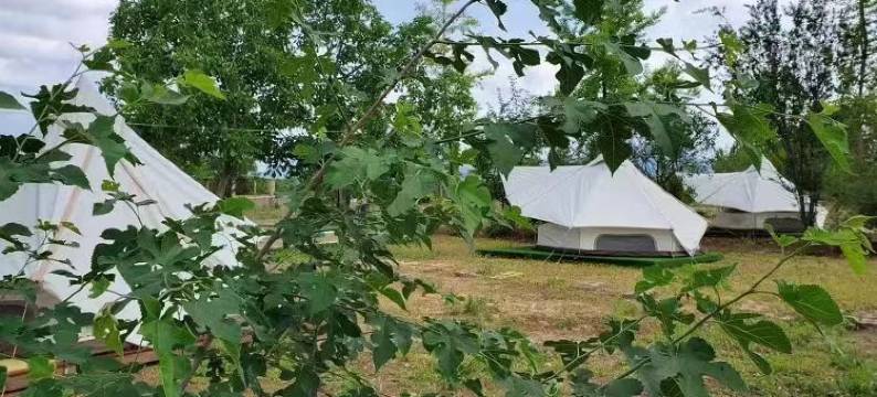 北京铂思爱秾露营基地图片