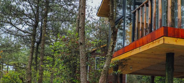 小隐·云端露营度假图片