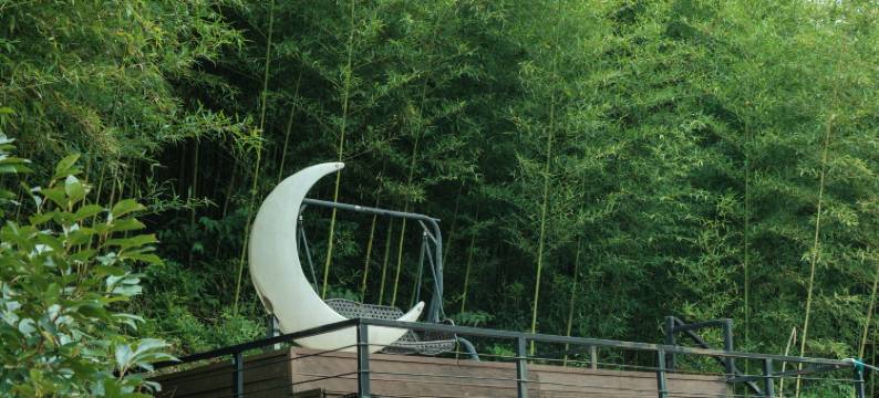 莫干山木木青舍·星空观景露营亲子度假美宿图片