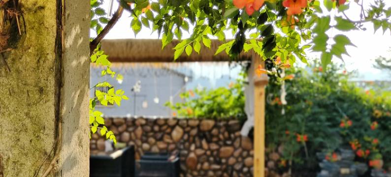 新昌起云居民宿(下岩贝村店)图片